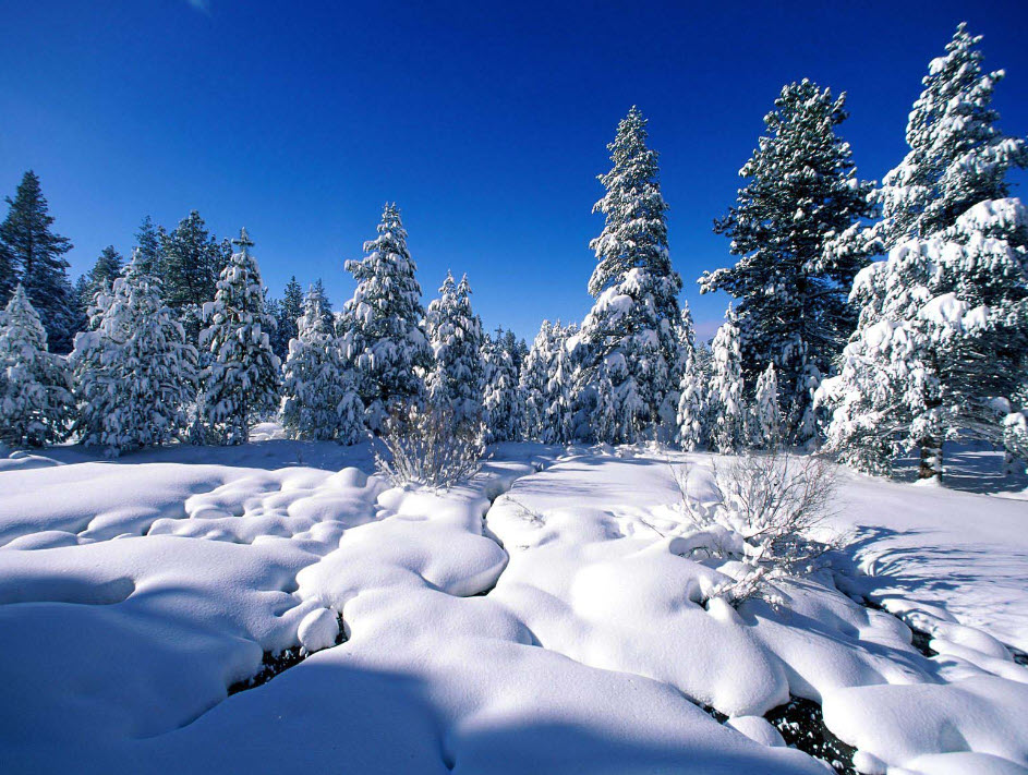 Sleep deeply in a cozy winter hut | Relaxing snowstorm, fireplace 4k | Winter wonderland ASMR